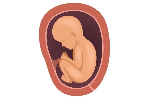 بهترین موقعیت قرارگیری جفت جنین