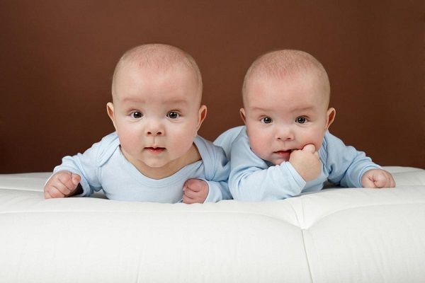 تغذیه چندقلوها