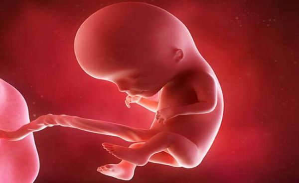 تعیین جنسیت در ماه سوم بارداری