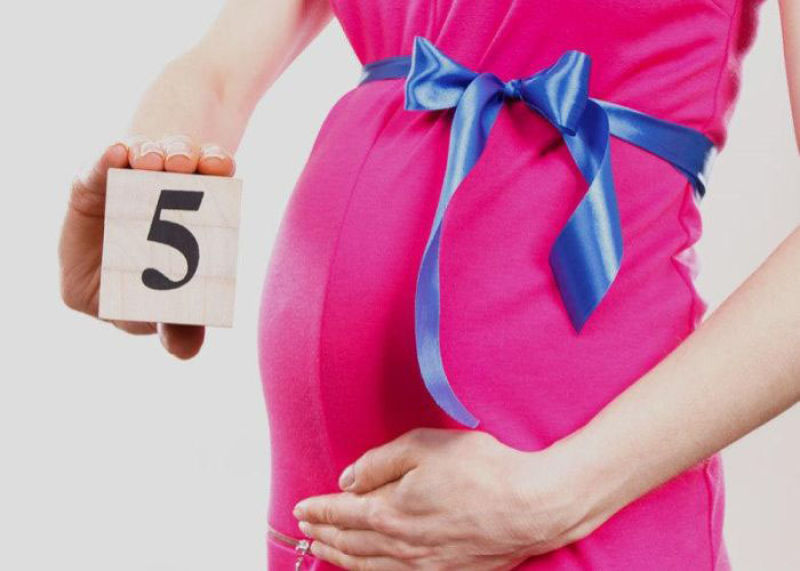 ماه پنجم بارداری هفته چندم است؟
