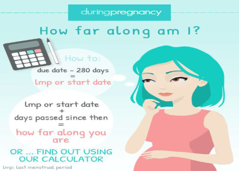 دقیقا نه ماه بارداری چند هفته است؟