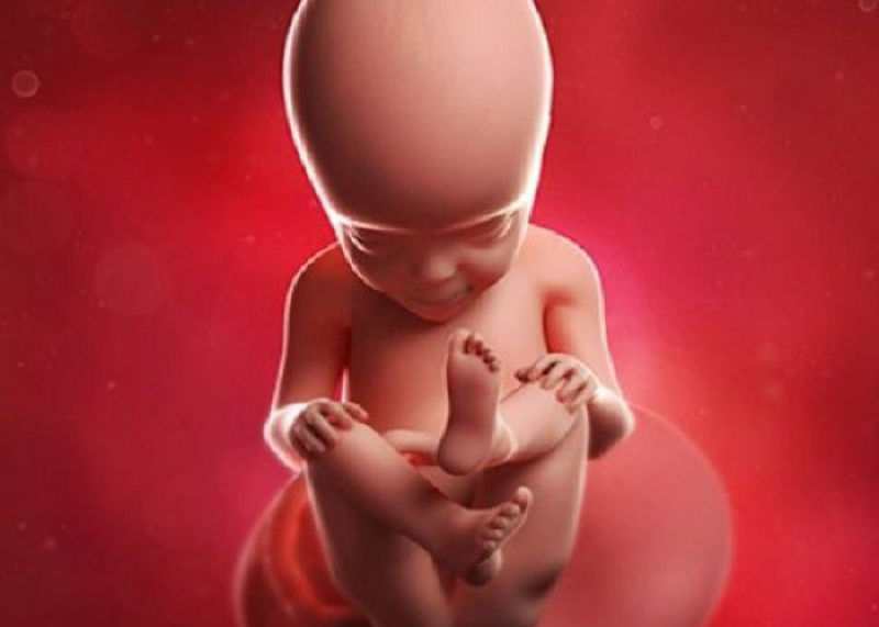 کم شدن حرکات جنین در بارداری چه علتی دارد؟