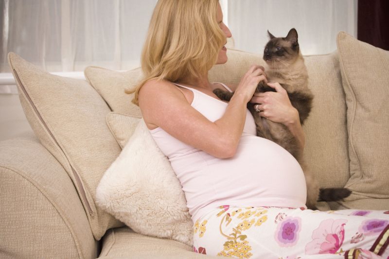 عوارض توکسوپلاموز در بارداری